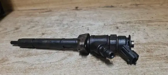 Citroen C4 I Fuel injector 0445110311