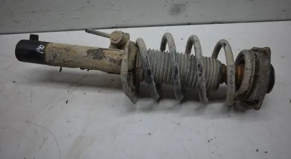 Volkswagen Tiguan Front shock absorber/damper 5N0413031T