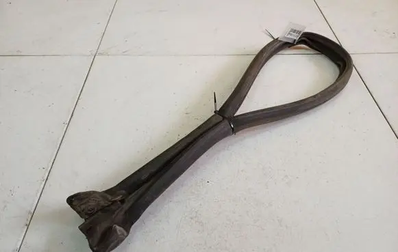 Dacia Sandero Rubber seal front coupe door 