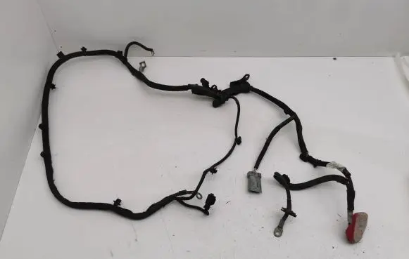 Citroen C4 II Picasso Positive cable (battery) 9804154280