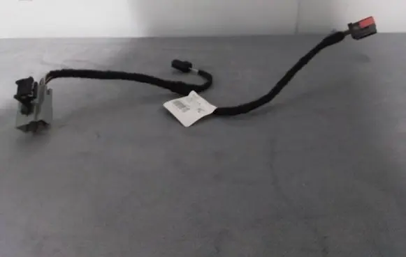 Ford Edge II Other wiring loom F2GT14C210