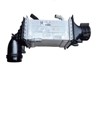 Intercooler radiator