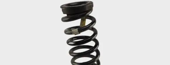Ford Kuga I Rear coil spring E1GC5599AXC
