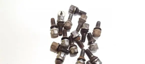 Renault Scenic I Nuts/bolts 