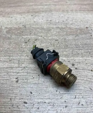 BMW 5 E39 Coolant temperature sensor 1741900 WithPlug