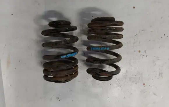 Rear coil spring