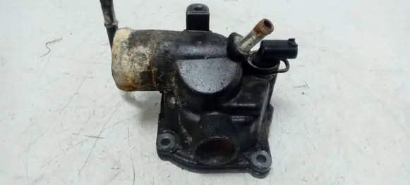 Thermostat/thermostat housing