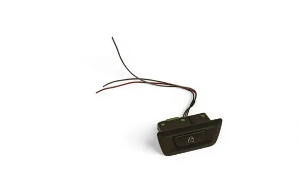 BMW 5 GT F07 Tailgate opening switch 9275120