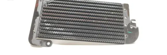 Renault Trafic III (X82) Fuel cooler (radiator) 175104049R 93868458