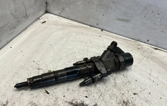 Renault Espace - Grand espace IV Fuel injector 0445110084