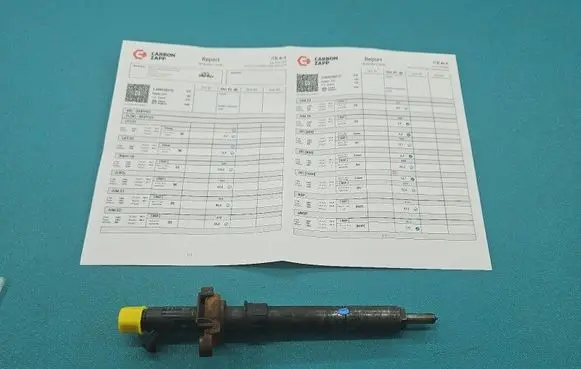 Citroen C5 Fuel injector EJBR03801D IMPRK1504261