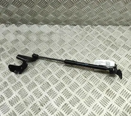 Front bonnet/hood damper/strut