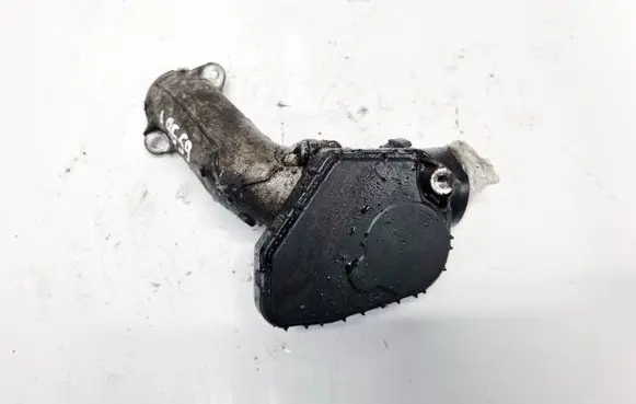 Nissan Qashqai Throttle valve 8200302798