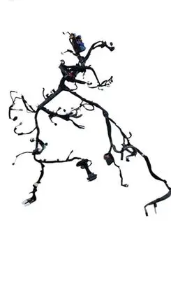 Renault Talisman Other wiring loom 243800453R
