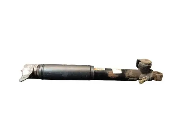 Opel Insignia A Rear shock absorber/damper 13319754