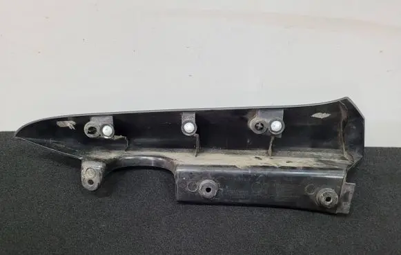 Rear/tail light trim molding