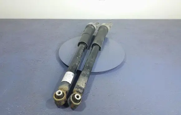 Rear shock absorber/damper