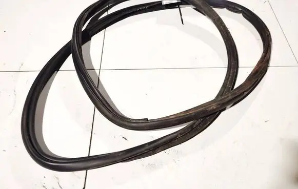 Chevrolet Captiva Rubber seal front coupe door 