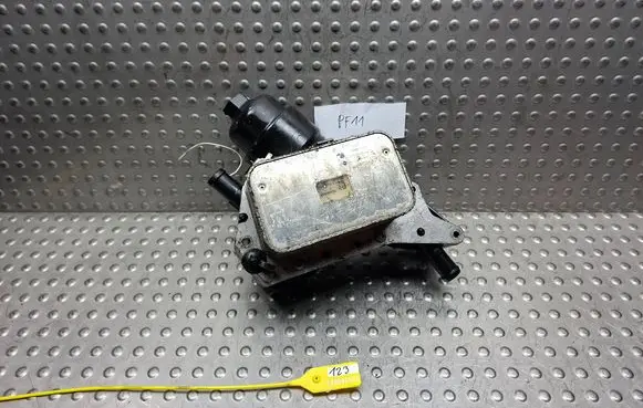 Nissan Qashqai Oil filter mounting bracket S18046123 152085948R