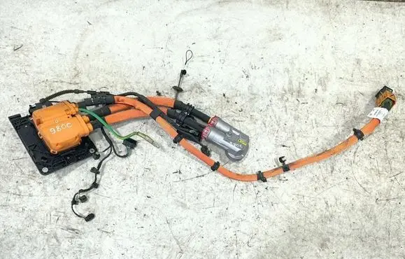 Mercedes-Benz EQS V297 Other wiring loom A2975401129