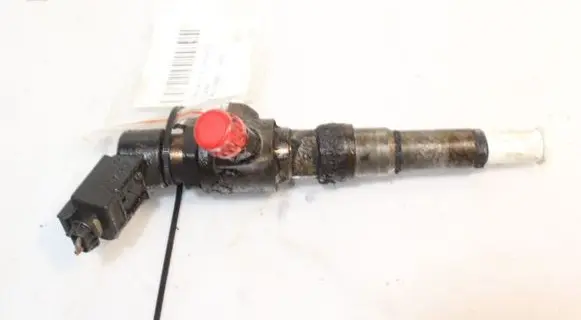 Citroen C4 I Picasso Fuel injector