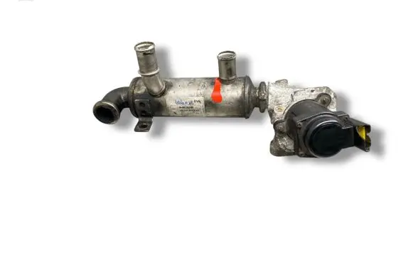EGR valve cooler