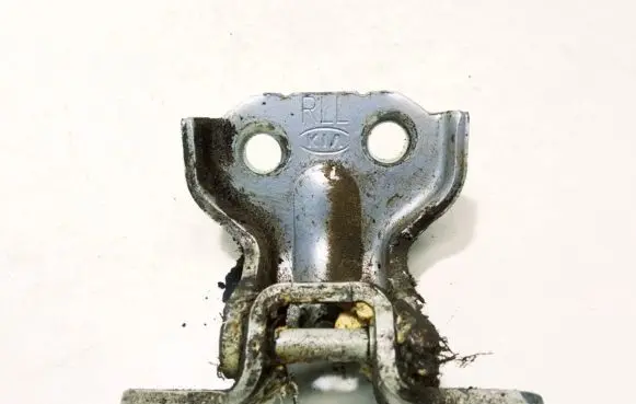 KIA Sportage Rear door lower hinge