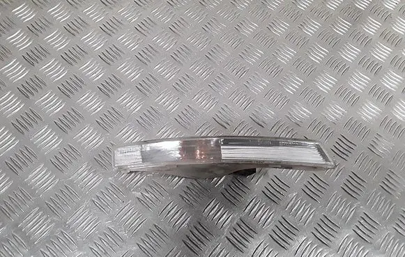 Volkswagen PASSAT B6 Front indicator light 