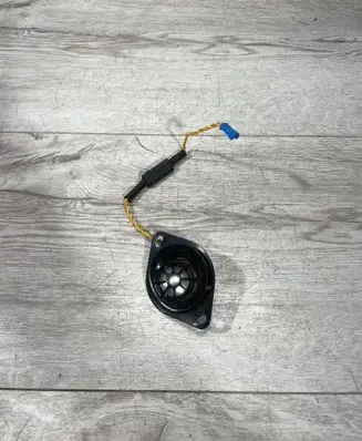 Front door high frequency speaker