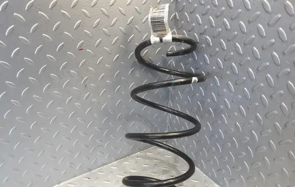 Front coil spring