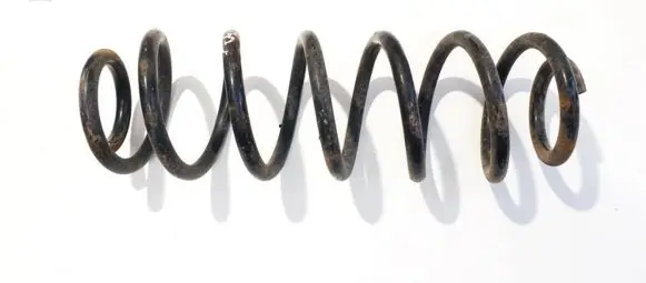 Rear coil spring