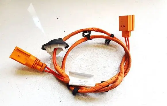 Cupra Born Other wiring loom 1ea971475b
