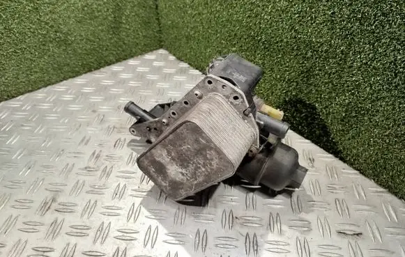 Renault Trafic III (X82) Oil filter mounting bracket 152081926R 0F23102 1210157