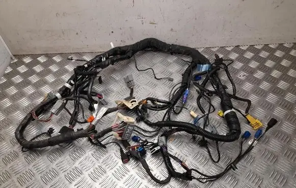 Tesla Model S Other wiring loom 100442292N
