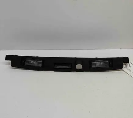 Trunk door license plate light bar