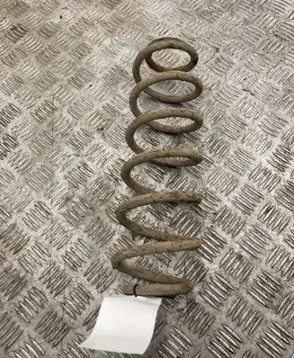 Skoda Praktik (5J8) Rear coil spring