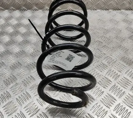 Toyota Land Cruiser (J120) Rear coil spring 482316B030
