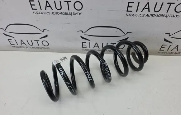 Rear coil spring