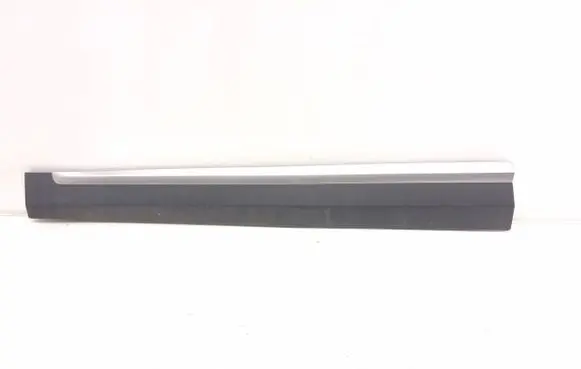 MG ZS Front door trim (molding) 10360762