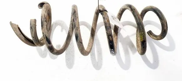 Renault Laguna III Rear coil spring 