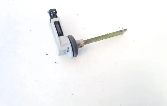 Interior temperature sensor