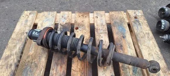 Dodge Journey Rear shock absorber with coil spring 