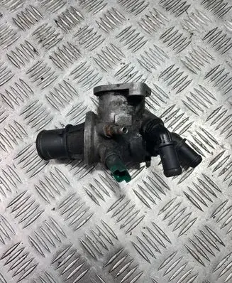 Thermostat/thermostat housing