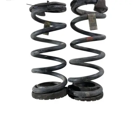 Rear coil spring