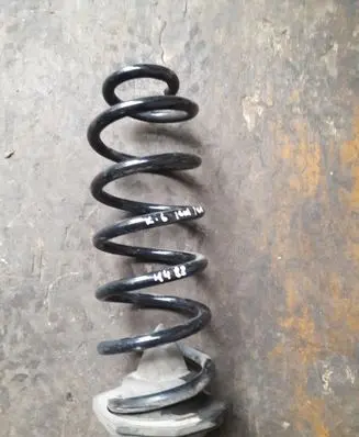 Rear coil spring