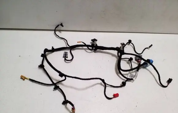Porsche Taycan 9J1 Front door wiring loom 9J1971162FH