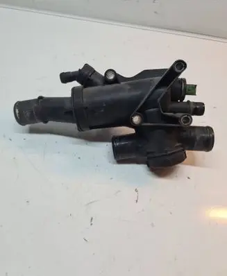 Thermostat/thermostat housing