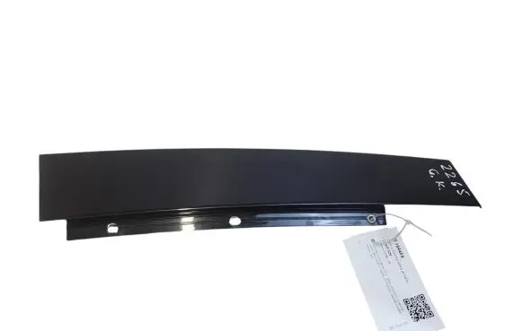 Citroen C5 Rear side glass trim 