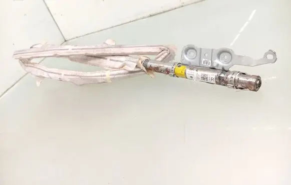 Seat Exeo (3R) Roof airbag 3R9880742