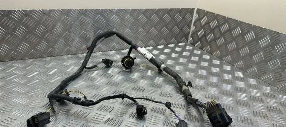 Jaguar XF X250 Gearbox/transmission wiring loom CX237C078BC